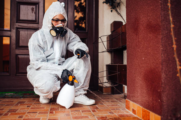 Reliable Wasp Removal contractor in East Merrimack, NH by Show Me Pest Control